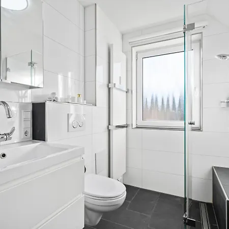 Seebalance Mit Alpenpanorama Friedrichshafen