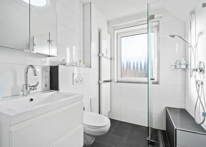 Seebalance Mit Alpenpanorama פרידריכסהאפן